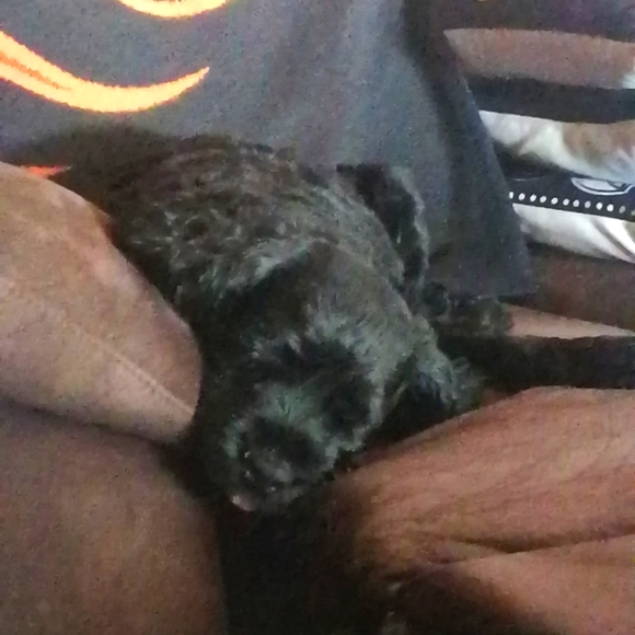 SALE!! - Picture 1 of 1